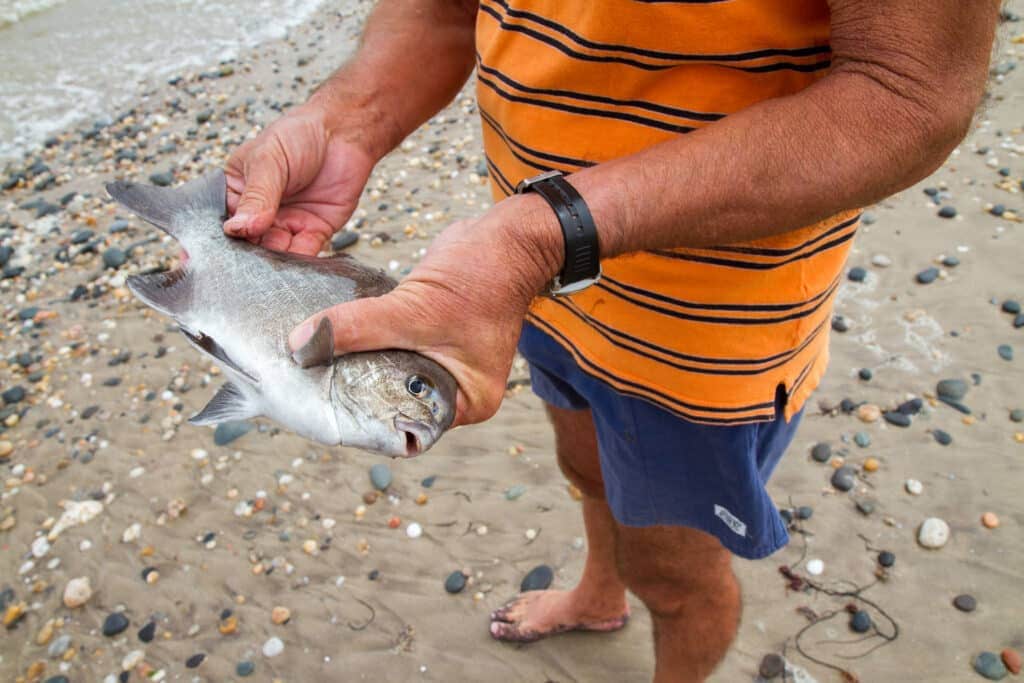 Fisherman catching a sea fish. Namibia, Africa.