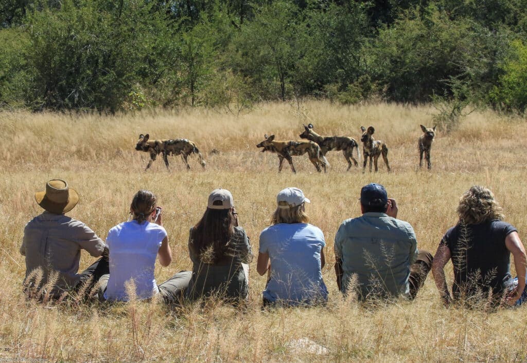 Walking Safari in Hwange National Park | Photo credit: Jozibanini