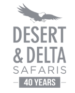 Desert & Delta Logo