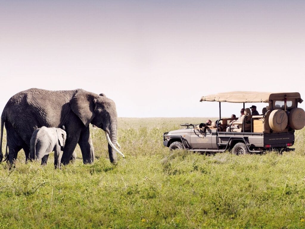 Game drive observing an elephant | Photo credit: One Nature Nyaruswiga