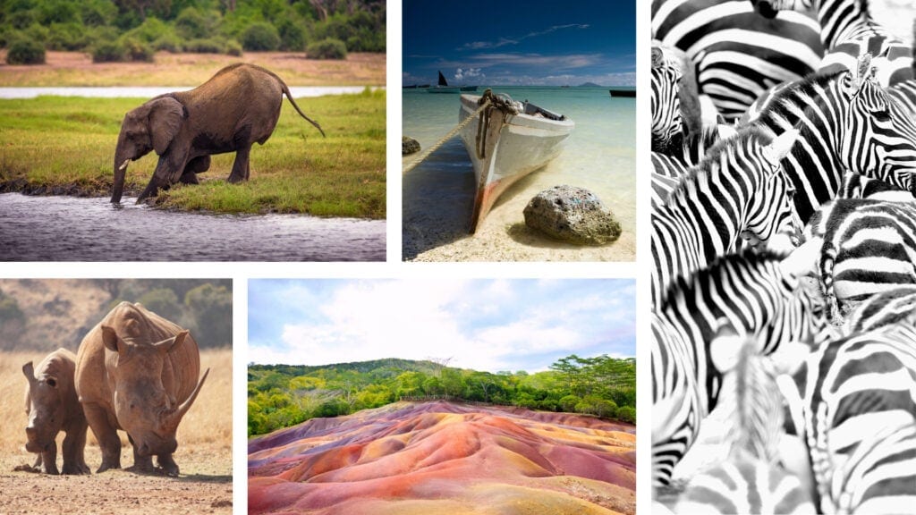 Collage of images: Elephant stepping into river, two rhinos, red sand landscape bordering lush greenery, boat on a sandy coast, large group of zebras. 