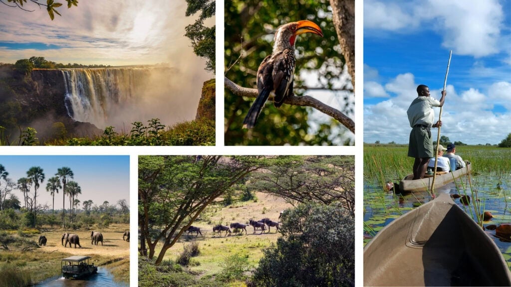 Collage of images: A waterfall at sunrise, a bird in a tree with a bright beak, people in a canoe on the water, and a safari vehicle watching elephants cross their path. 