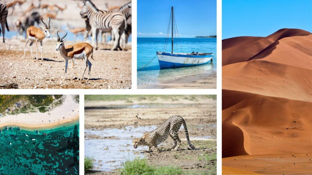 Collage of images: Small antelope within a group of antelopes and zebras, blue and white striped boat in clear blue water, red sand dunes, a cheetah drinking water, and an aerial view of a beach coastline