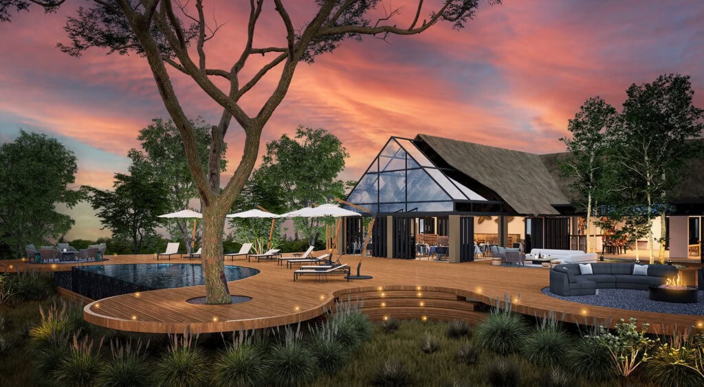 Wooden deck with a tree growing through it with a pool and loungers surrounding it. 