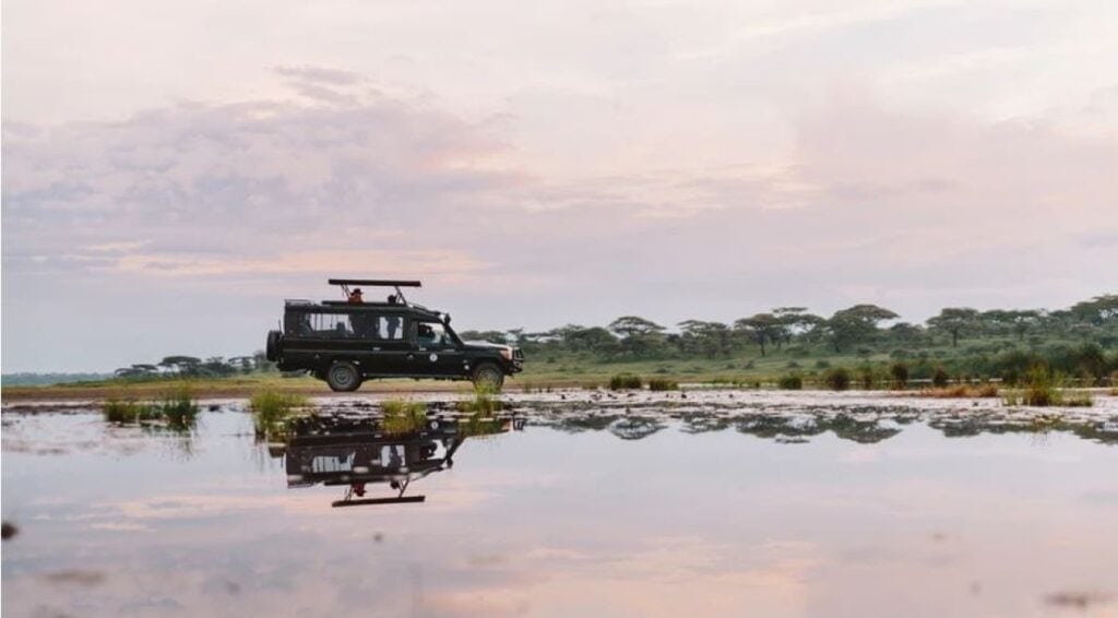 Game Drive in Northern Serengeti which can be done on a Tanzania safari.