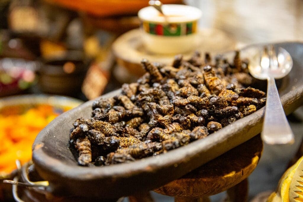 Another popular Zimbabwean dish is mopane worms at a traditional bomb dinner. Photo: Getty Images