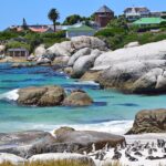 Penguins at Boulders Beach, Cape Town, South Africa. Photo: Getty Images