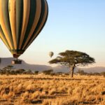 Hot Air balloons over serengeti Photo: Getty