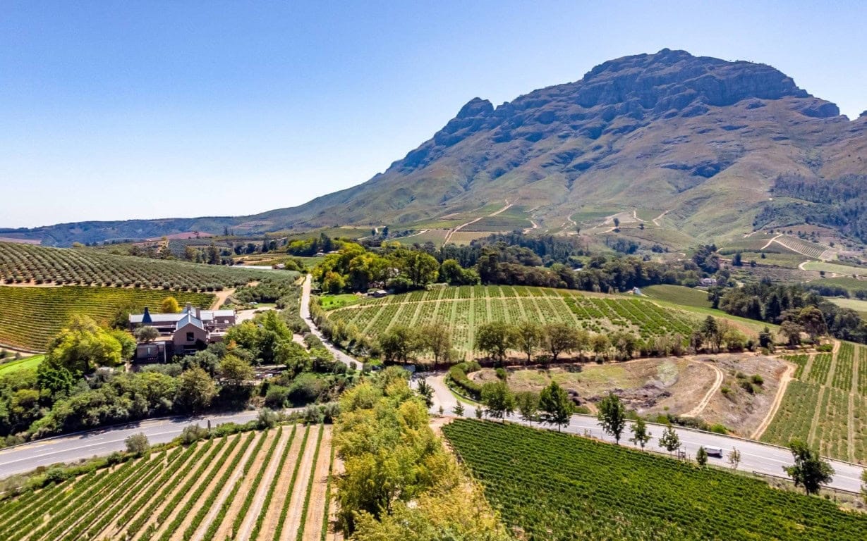 Stellenbosch Vinyards | Photo: Suodh Agnihotri via Getty