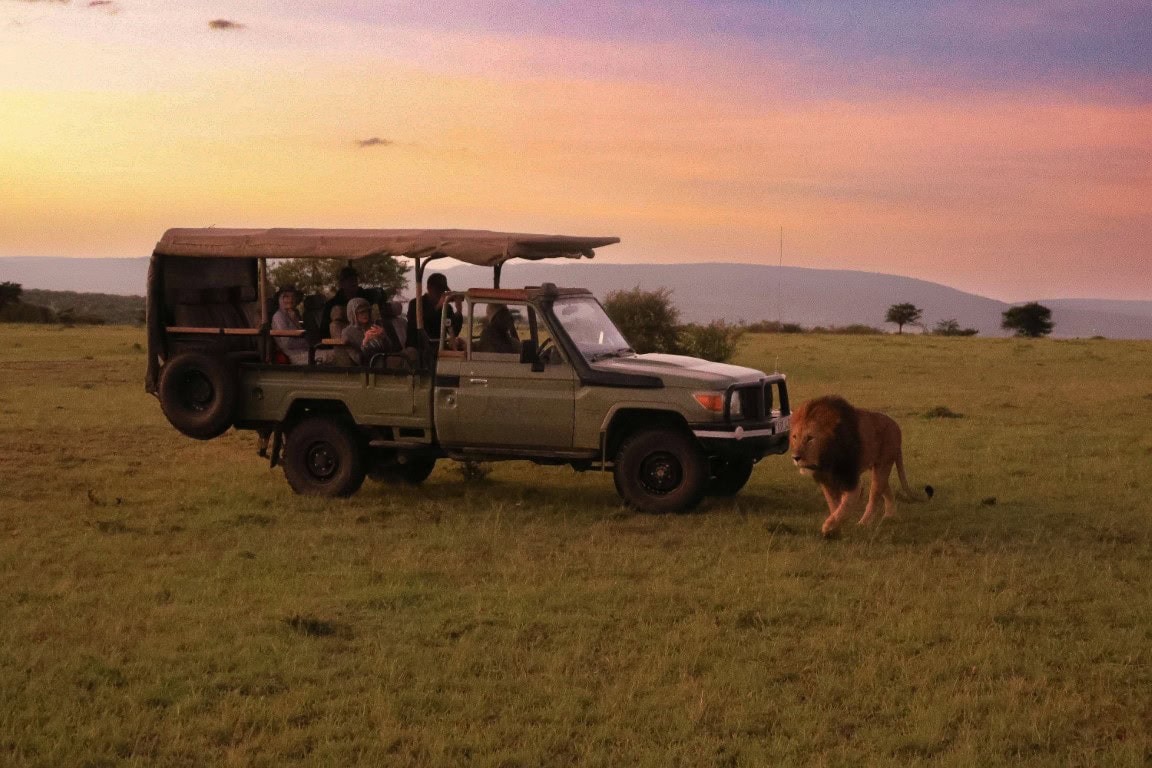 Travelers on a Game Drive spotting a lion | Photo: Meg von Haartman via pixabay