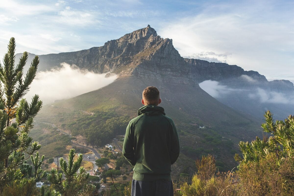 Table Mountain Fires: How Blazes Reignite Life