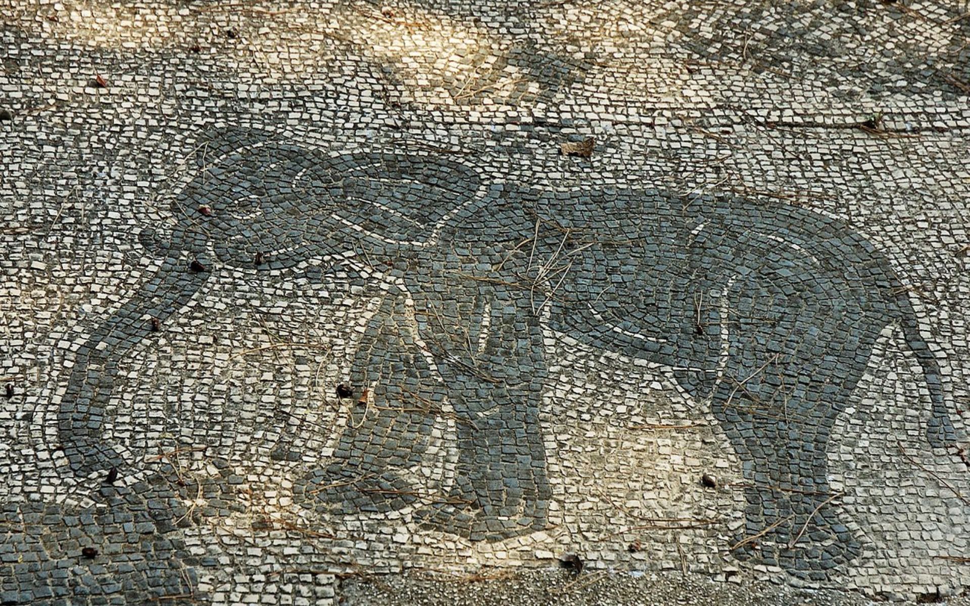 Roman mosaic of the north African elephant at Ostia Antica, Italy 