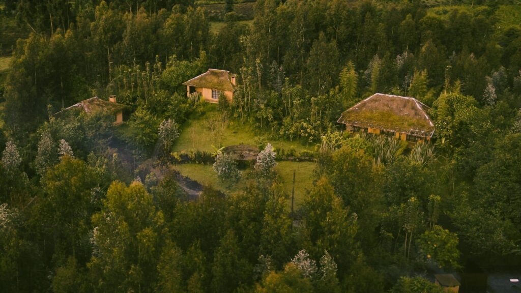 Three chalets in a lush forest in Rwanda