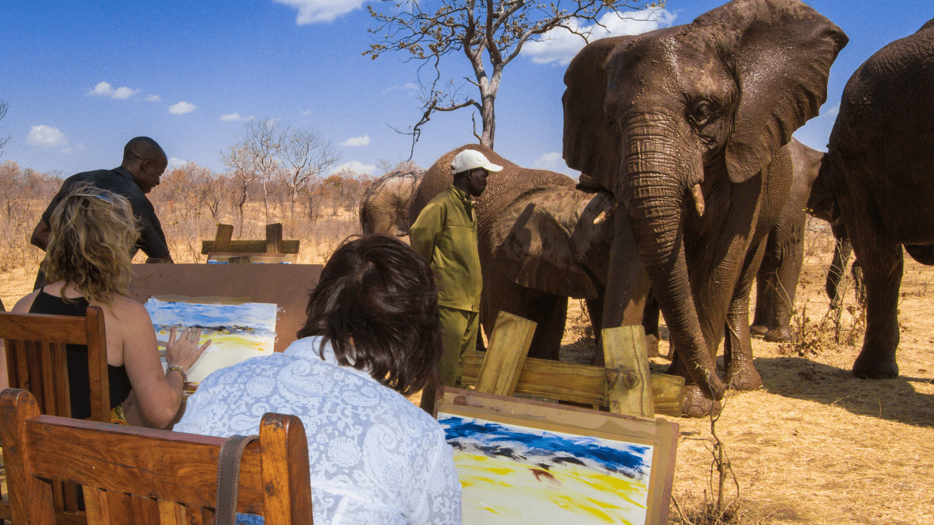 Elephant Art experience wild horizons