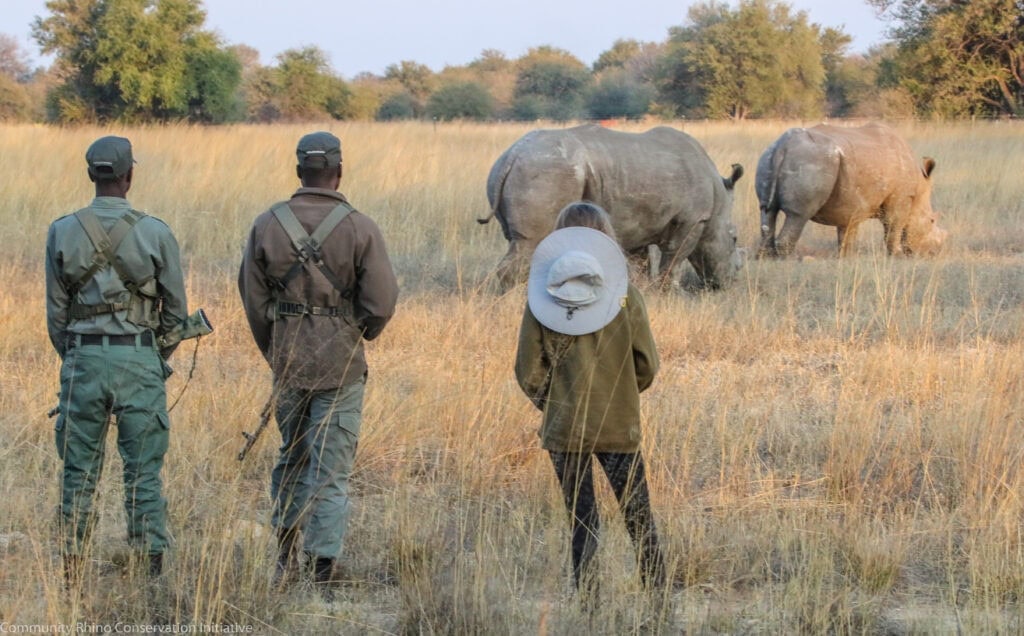 Three people looking at two rhinos in the wild
