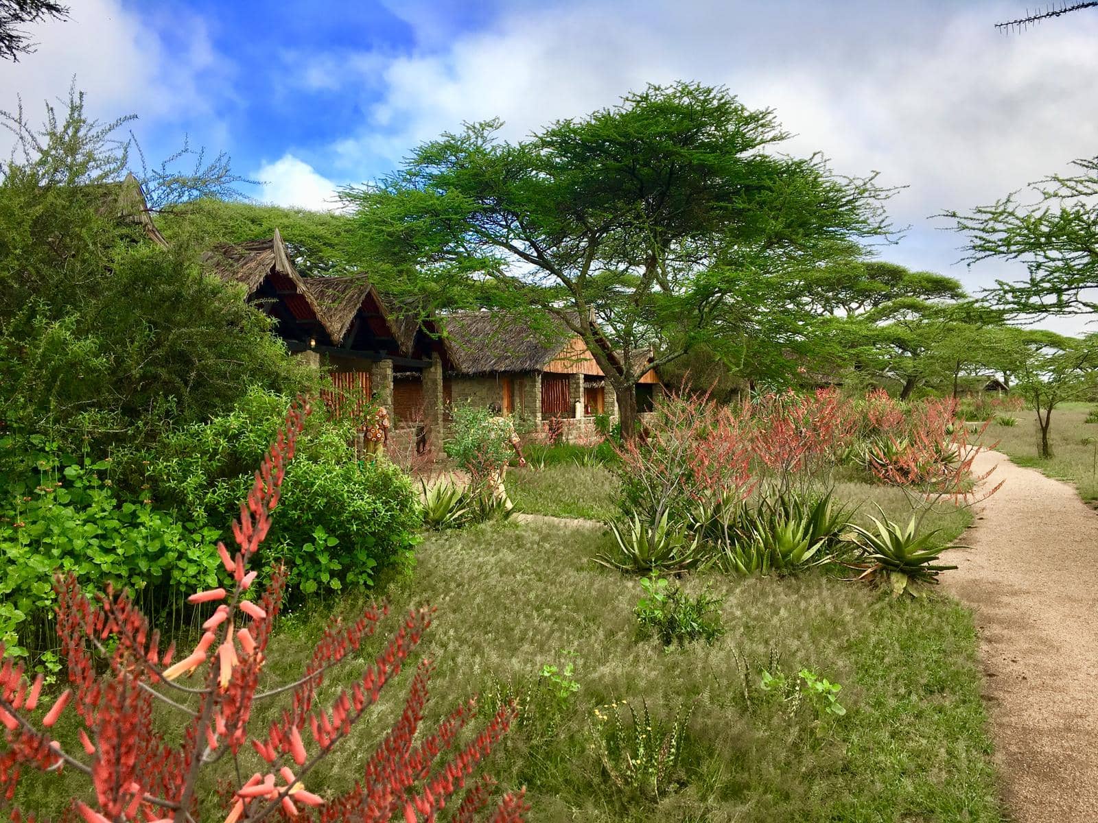Exterior of Ndutu Safari Lodge