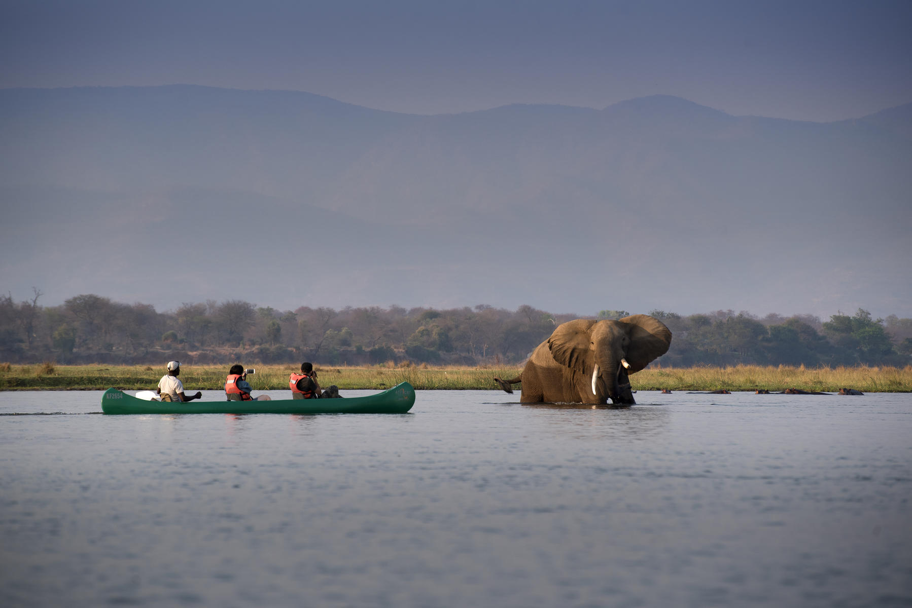 Canoeing in Mana Pools with and elephant 