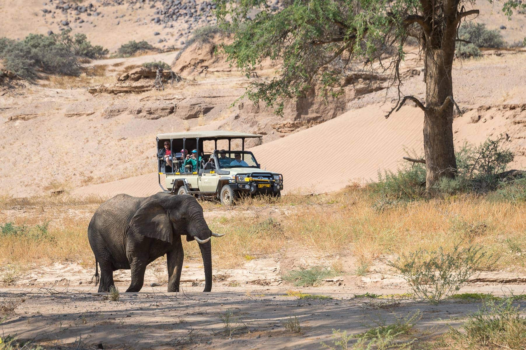 Damaraland, Namibia