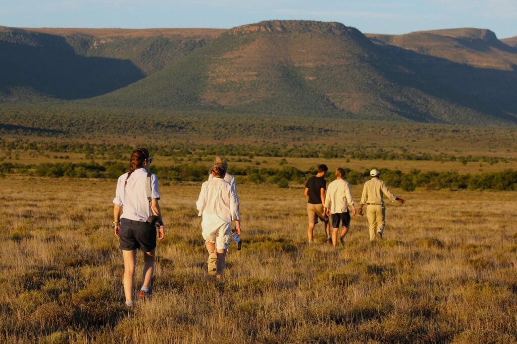 A group on a walking safari in the Karoo, South Africa. Photo: Karoo Samara