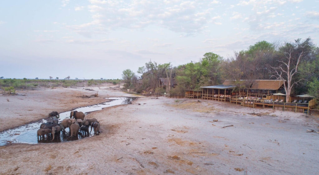 Elephants gathered at a waterhole at Savute Safari Lodge