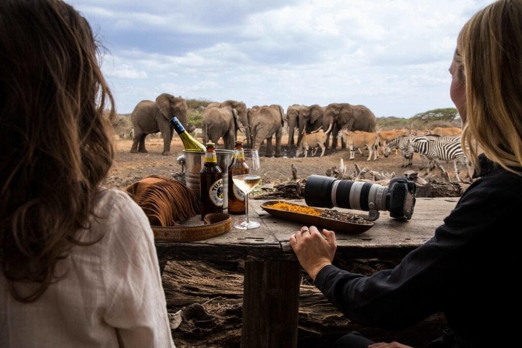 Elephants being observed from a photographic hide at Ol Donyo Lodge in Chyulu Hills, Kenya | Photo credit: Ol Donyo Lodge