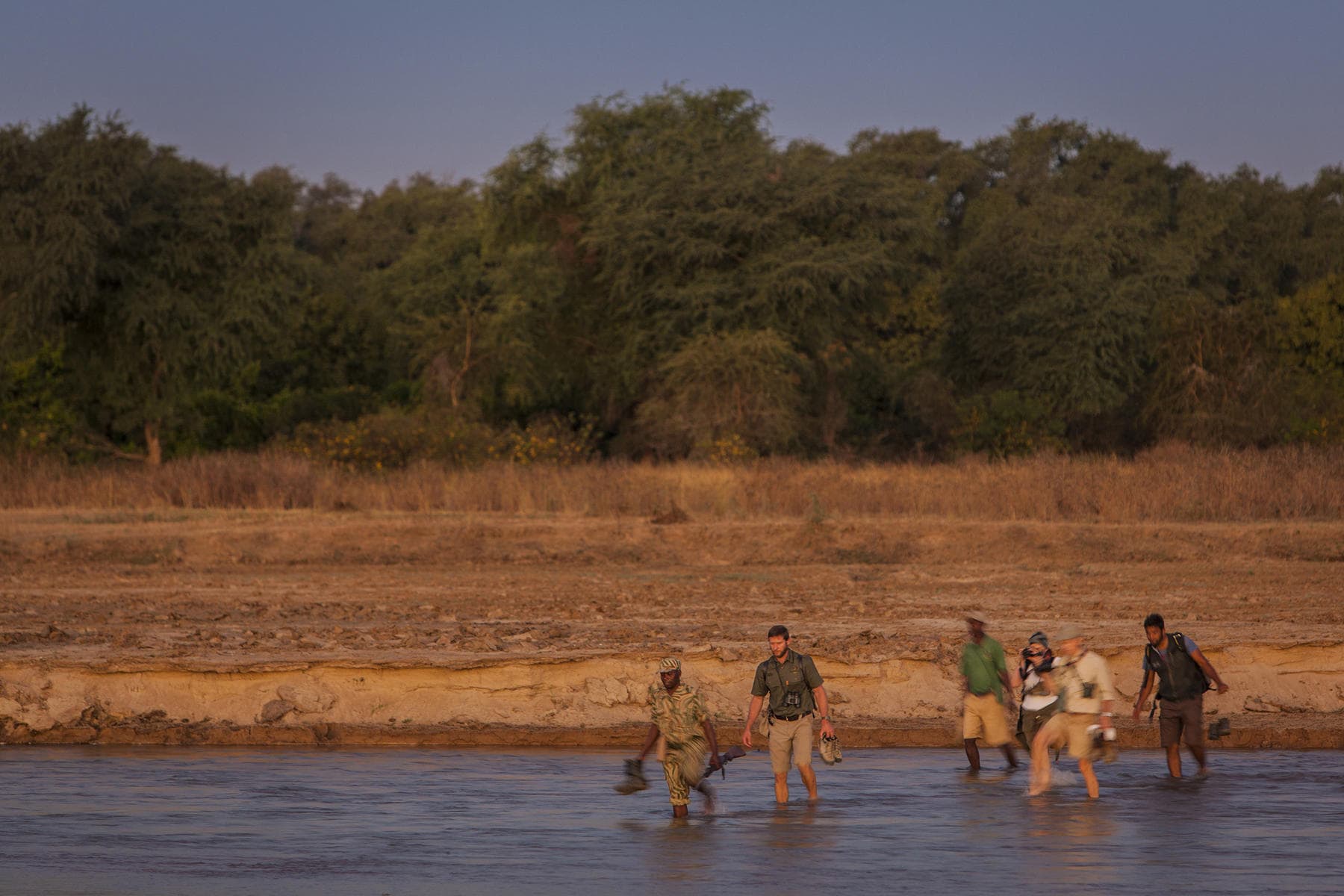 Walking safari in Mwaleshi Camp