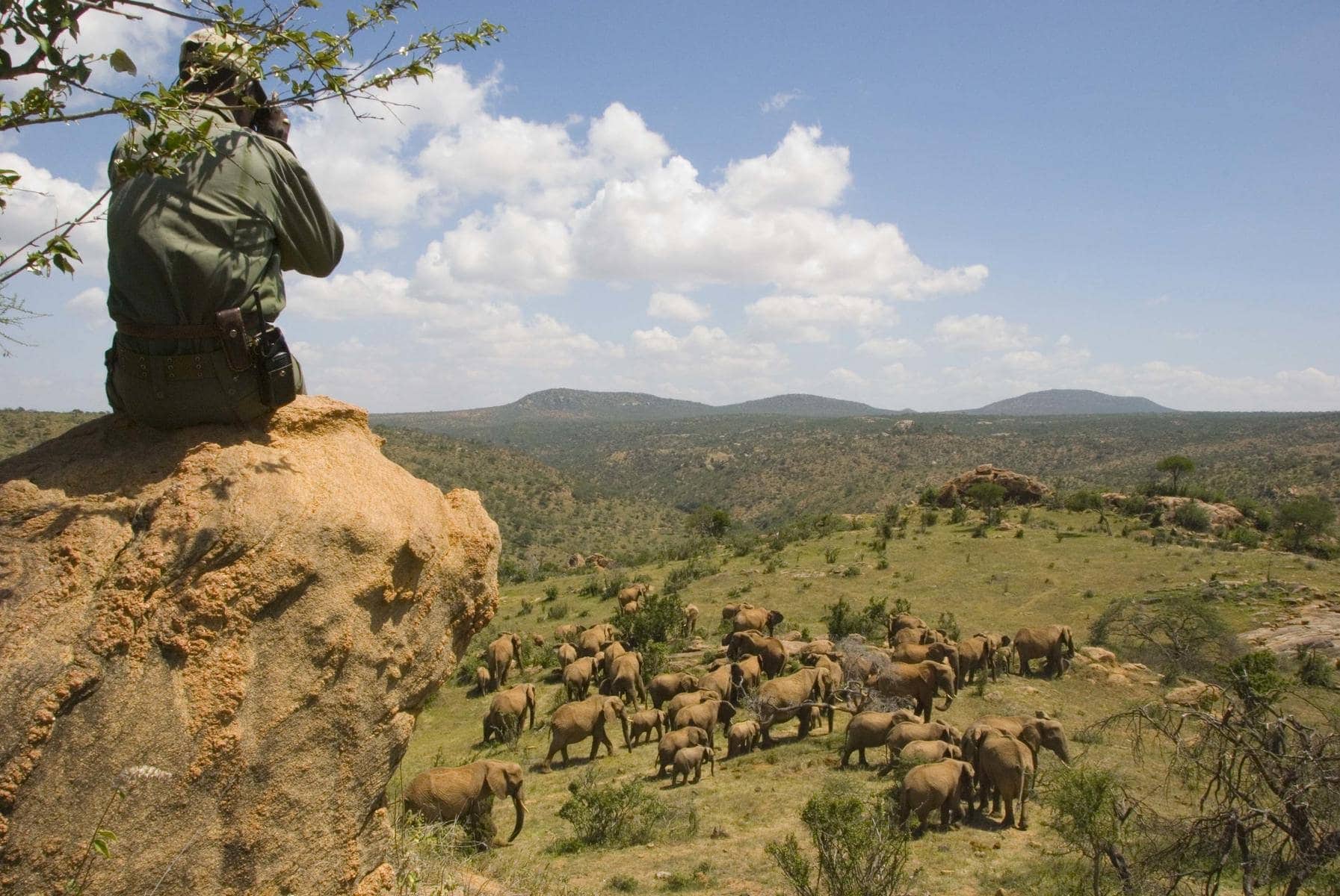 Laikipia Plateau Game Drive at Ol Malo Lodge- Image Credits- Wetu