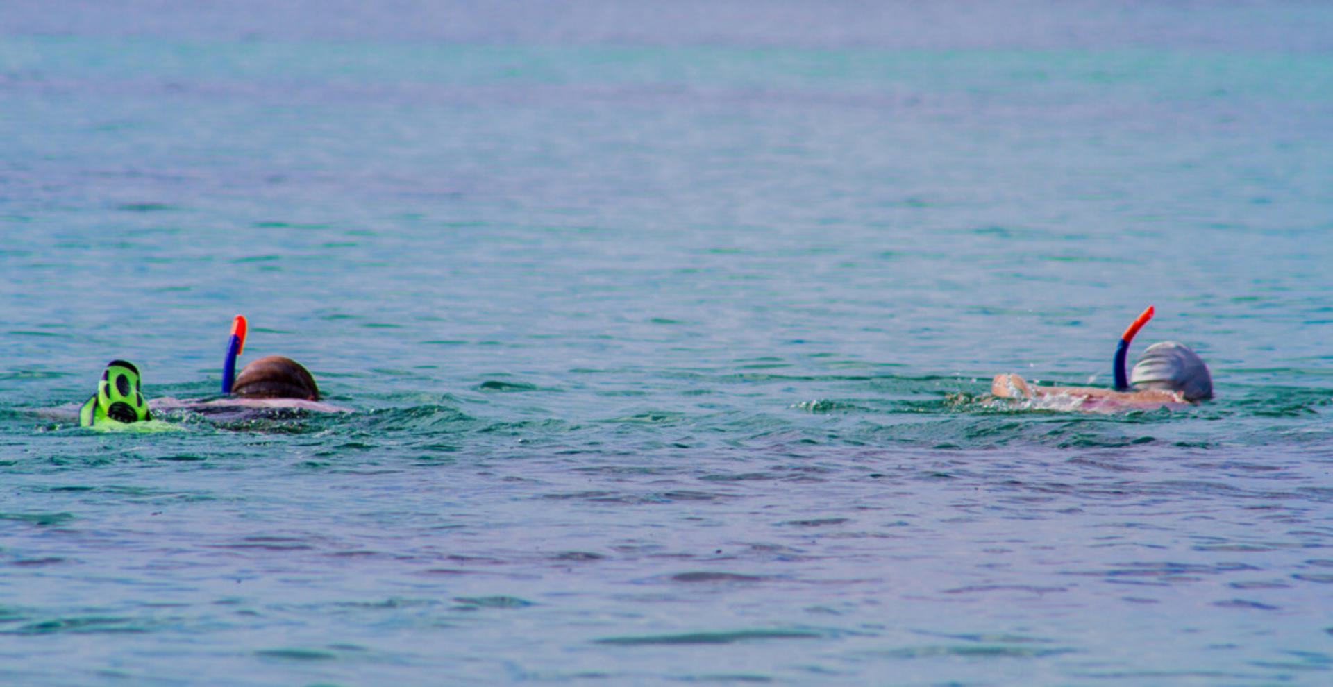 Two snorkellers in the water