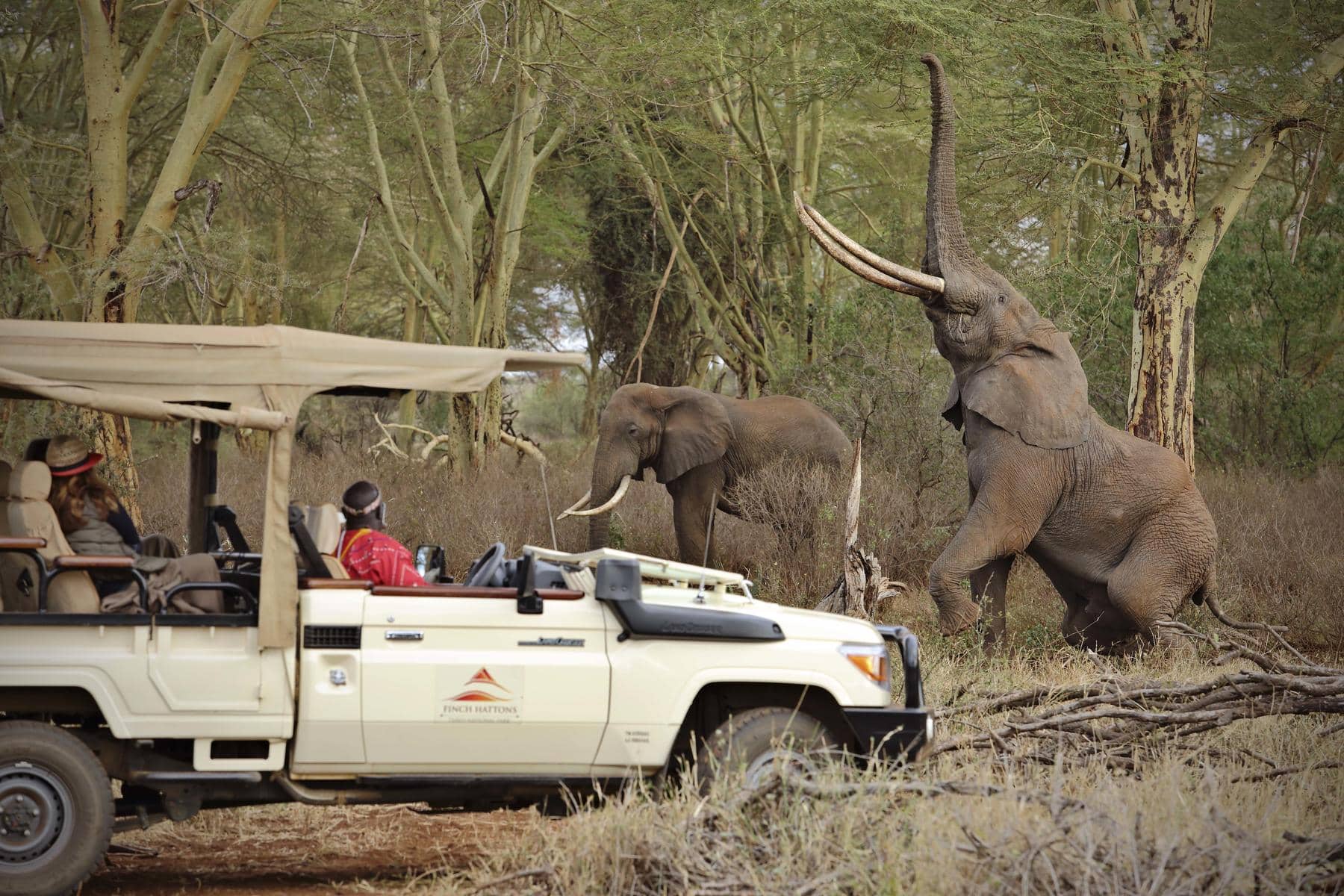 Game Drive in Tsavo West National Park, one of the best national parks in Africa.