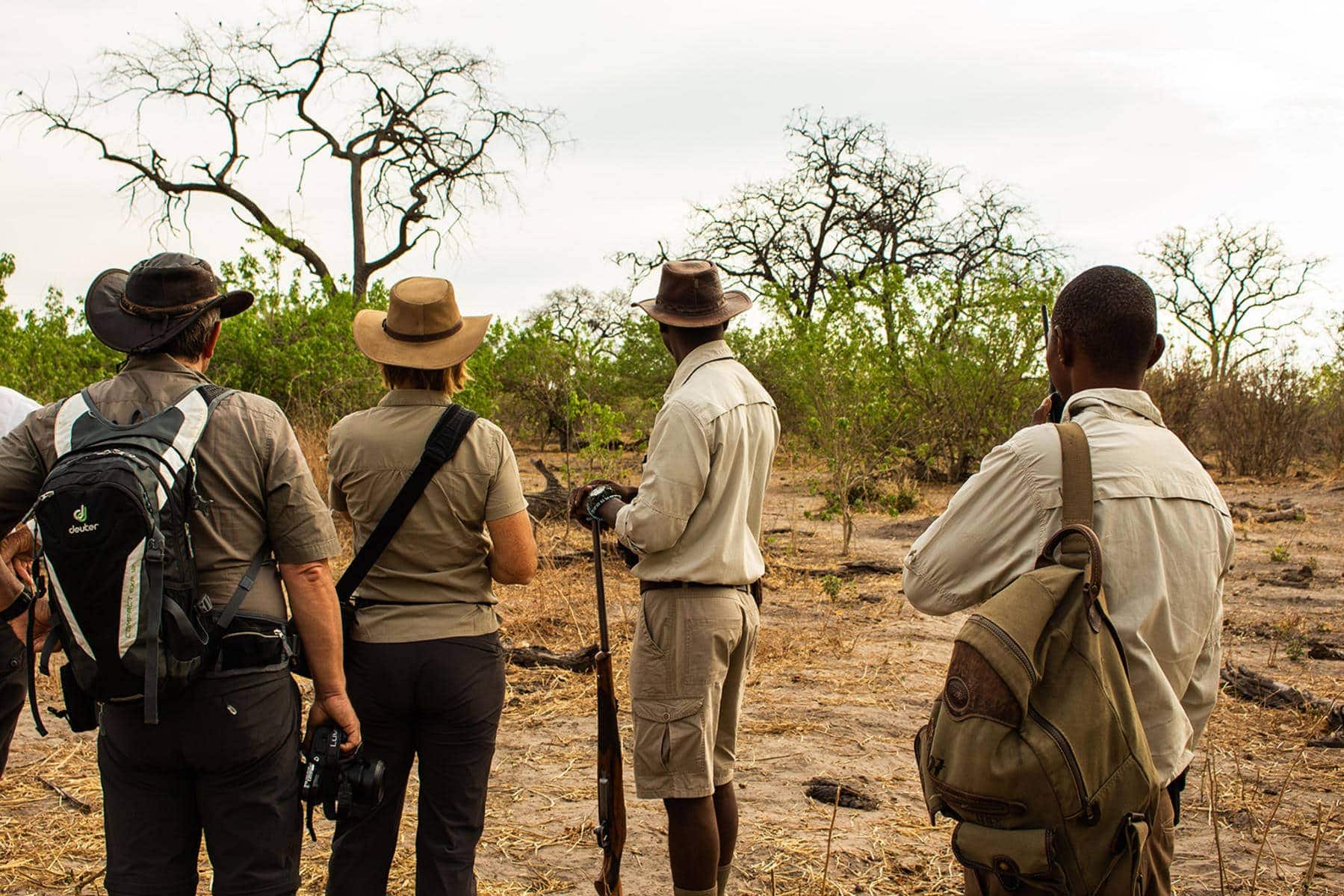 Walking safari at Linyanti Bush Camp