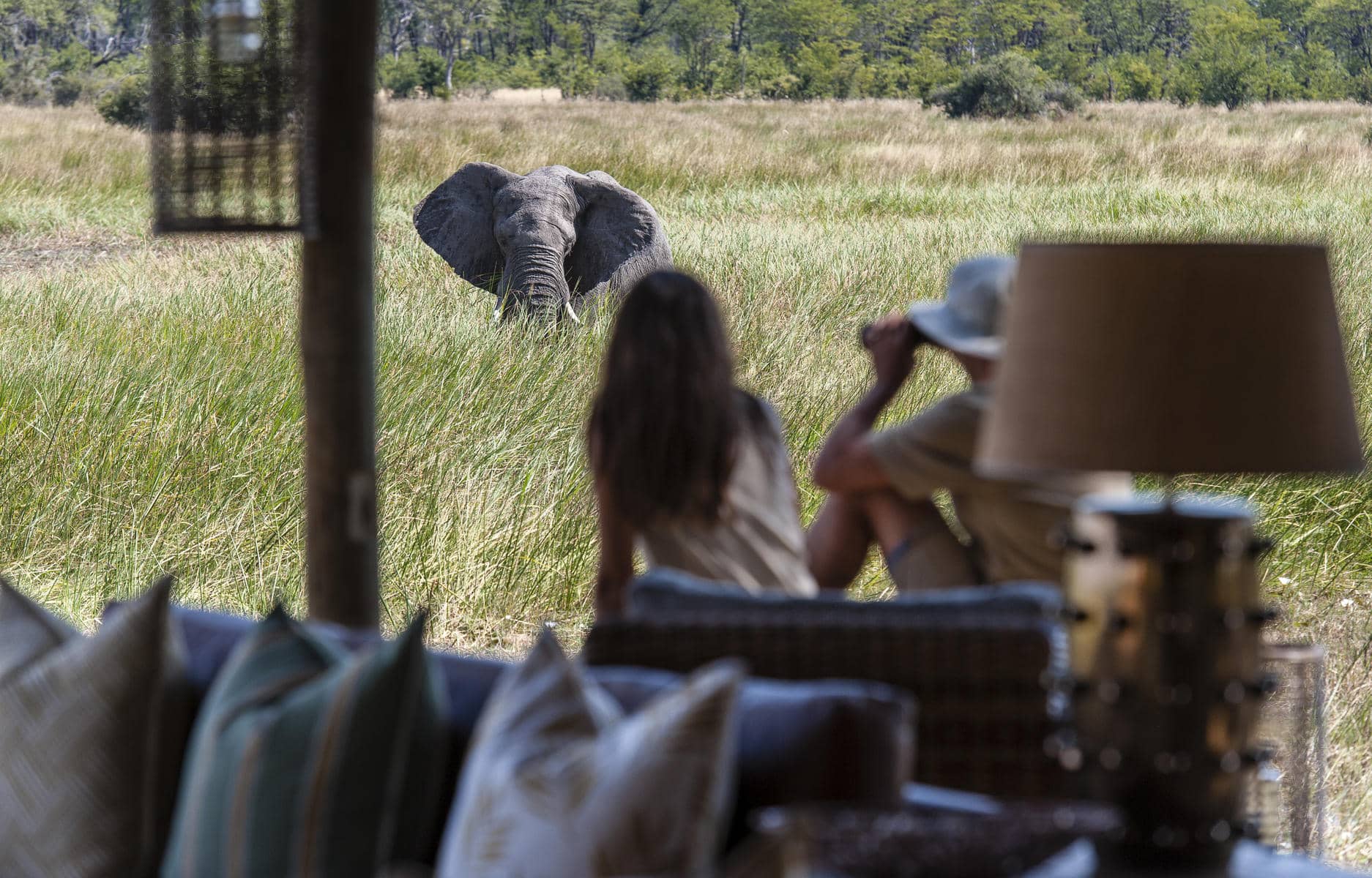 Spotting an elephant from your private deck lodgings