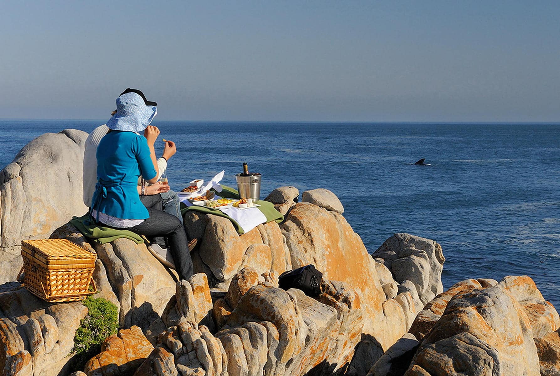 Land based whale watching at Groobtos.jpg