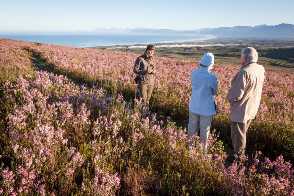 Three people on a nature walk along a fynbos trail in Grootbos Nature Reserve