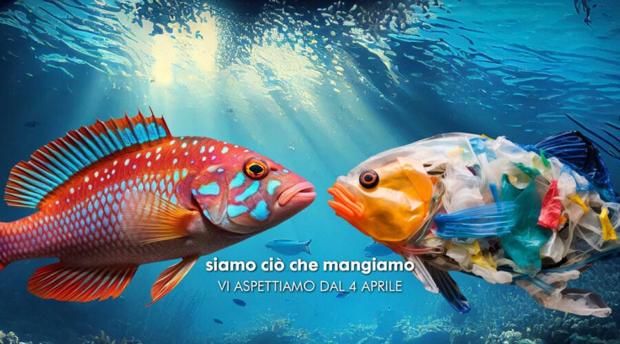Scopri l’acquario di Cattolica