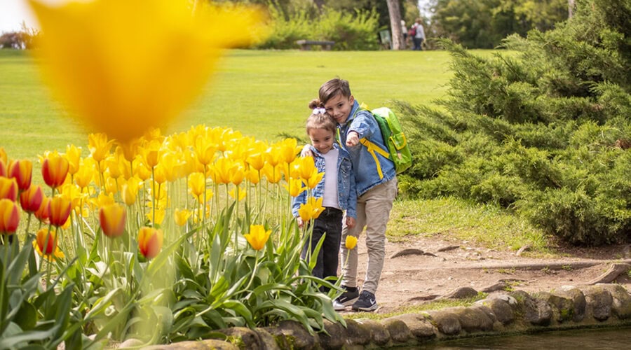 Parco Giardino Sigurtà con bambini: cosa vedere e consigli per una giornata perfetta