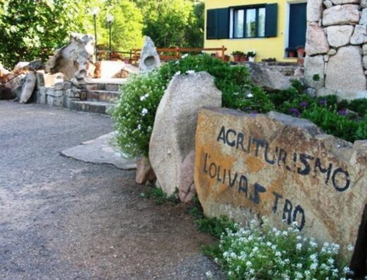 Agriturismo L’Olivastro