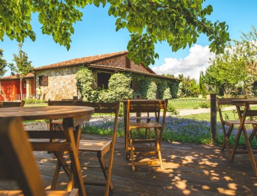 Fattoria Poggio Nebbia