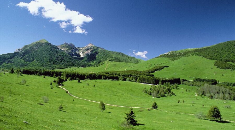 Monte Bondone in estate con bambini: cosa fare tra natura, passeggiate e giochi all’aria aperta