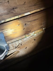 Roof inspection identifying damaged shingles before repairs are needed.