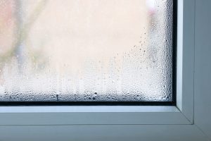 Condensation on a double-pane window with a failed seal