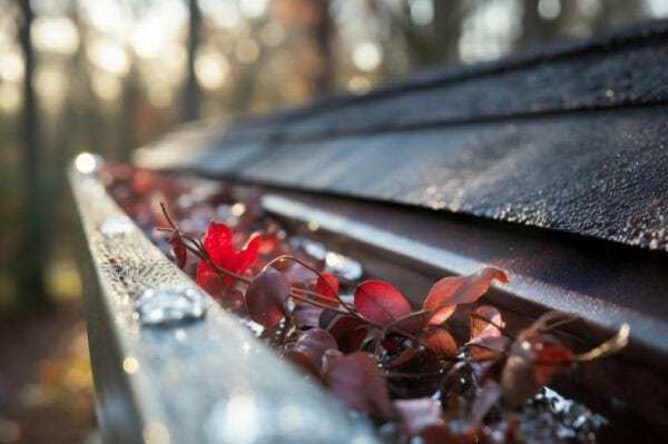 Guideline Roofing gutter