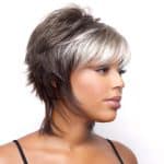 Stylish short layered wig with gray and blonde highlights for women.