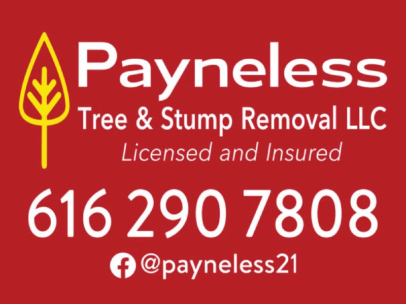 Company logo for Payless Tree & Stump Removal LLC with contact info.