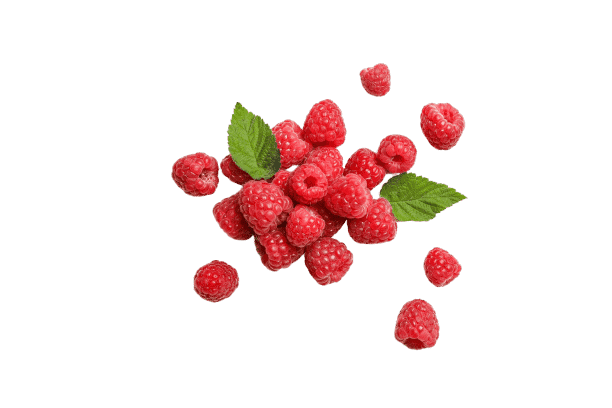 AdobeStock 210429481