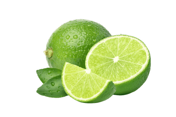 AdobeStock 418363511