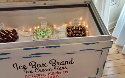 Ice Box Brand ice cream bars in a display case with festive lights.