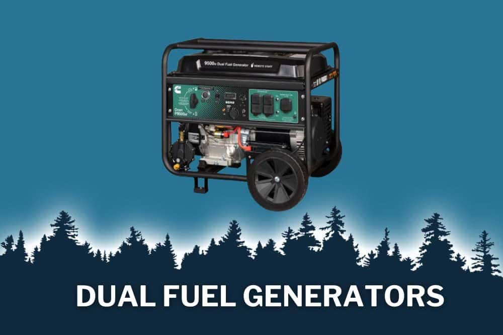 A graphic of a dual fuel generator, one of the generators for sale in Florida that we carry