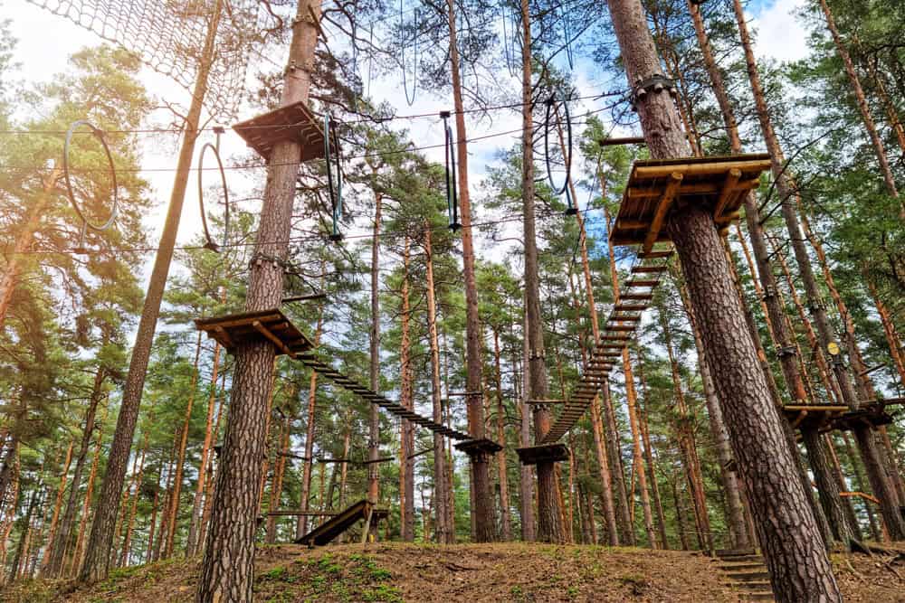 An aerial adventure park. Orlando has one like this.