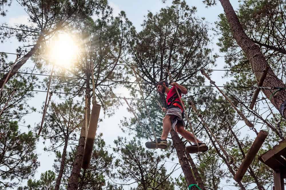 Aerial Rope Course.