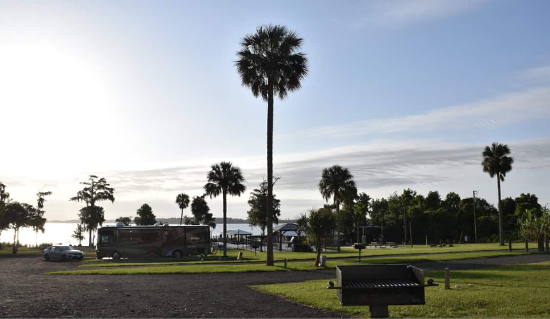 Blue skies over palm tress and green grass on the waterfront at 333 Fish Camp
